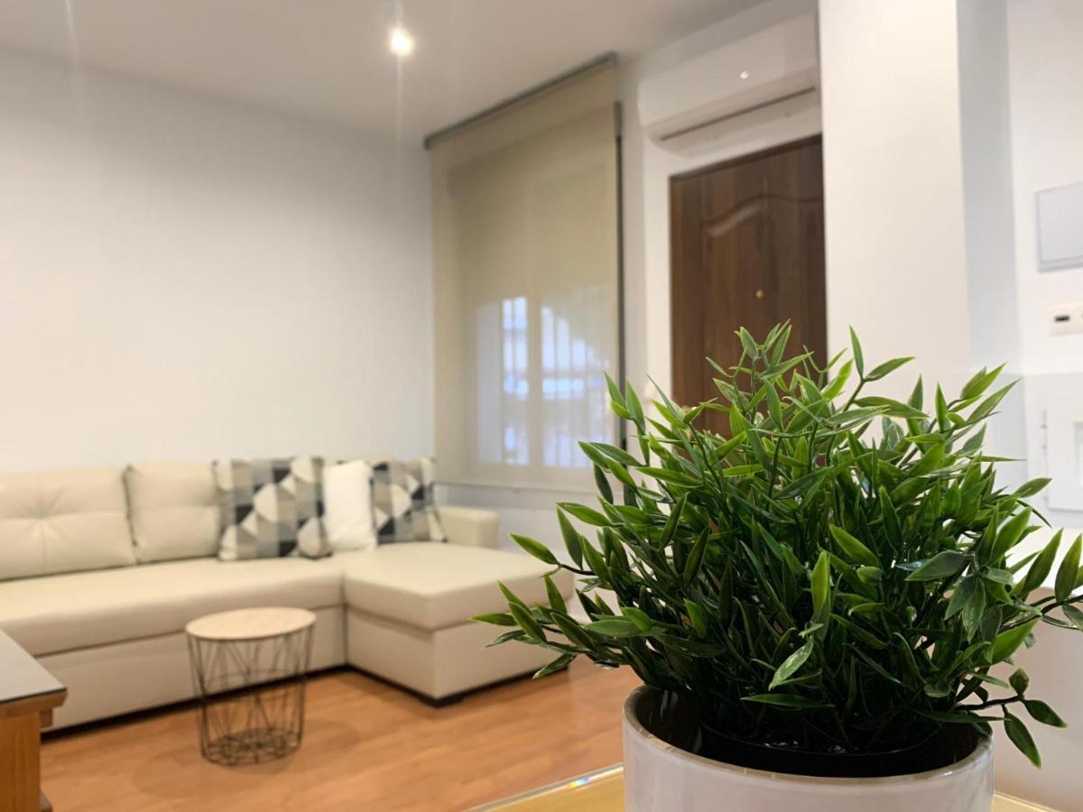 Apartamento La Mezquita-Catedral Córdoba Eksteriør billede